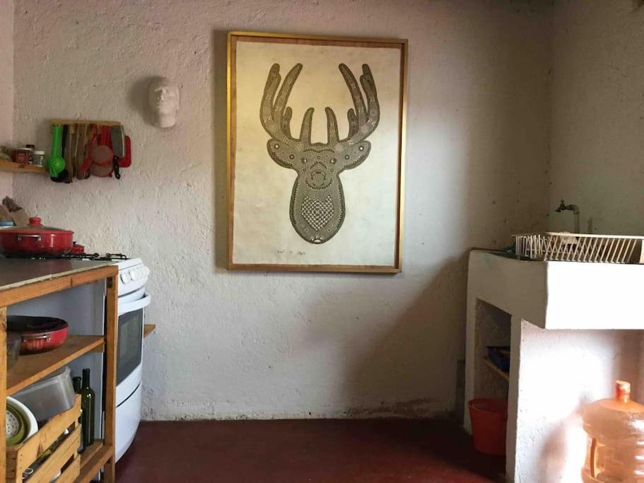 San Cristóbal de Las Casas Casa Cerrillo 아파트 외부 사진