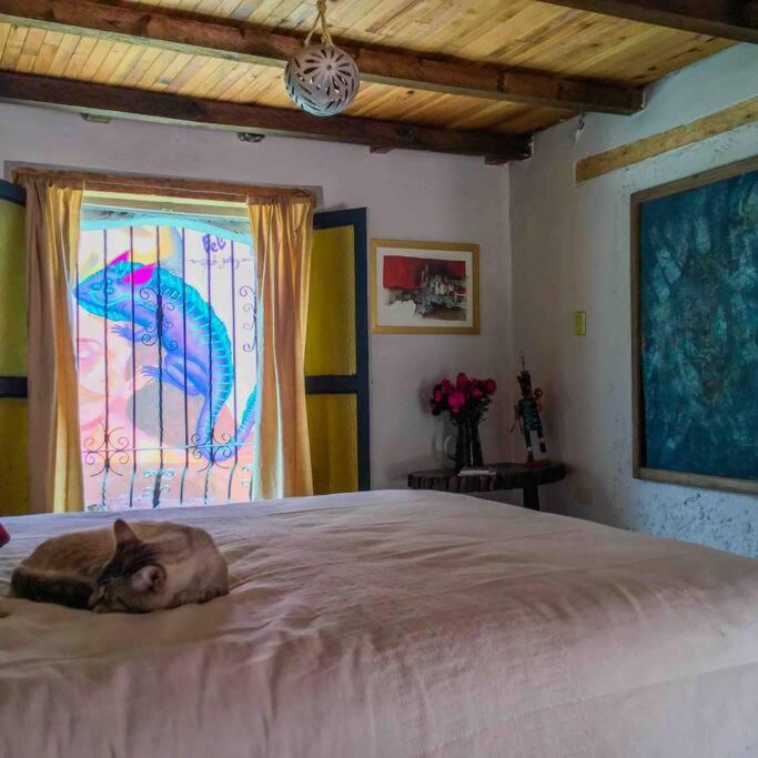 San Cristóbal de Las Casas Casa Cerrillo 아파트 외부 사진